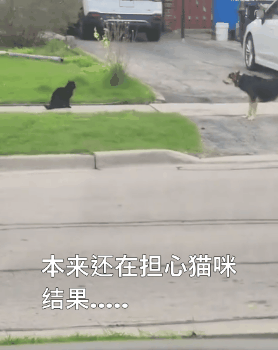 【爆笑】“蹲坑时厕所突然被搬走了!?”哈哈哈哈哈哈哈好绝望的死法....(组图) - 34