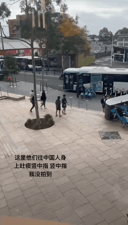 就因为说中文？澳洲华人夫妻街头被7名少年围殴+狂吐口水，4/5亚裔澳洲人都曾遭遇种族主义（组图） - 13