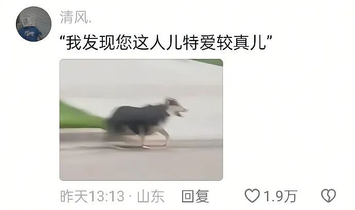 【爆笑】“蹲坑时厕所突然被搬走了!?”哈哈哈哈哈哈哈好绝望的死法....(组图) - 36