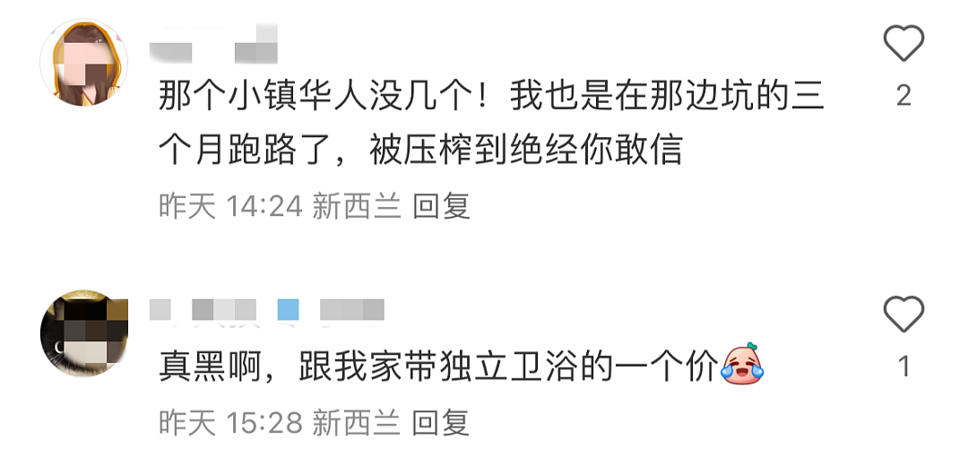 中国IT硬件工程师开启新西兰打工度假之旅,刚去就入坑,“差点冻死”! 澳洲网友:我家狗都不住车库(组图) - 18