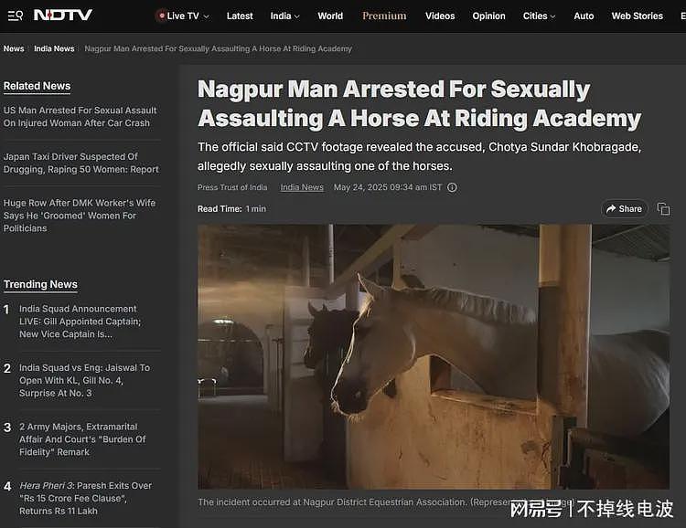 印度一男子因性侵马匹被捕，夜间潜入骑术学院作案，被保安发现（组图） - 2