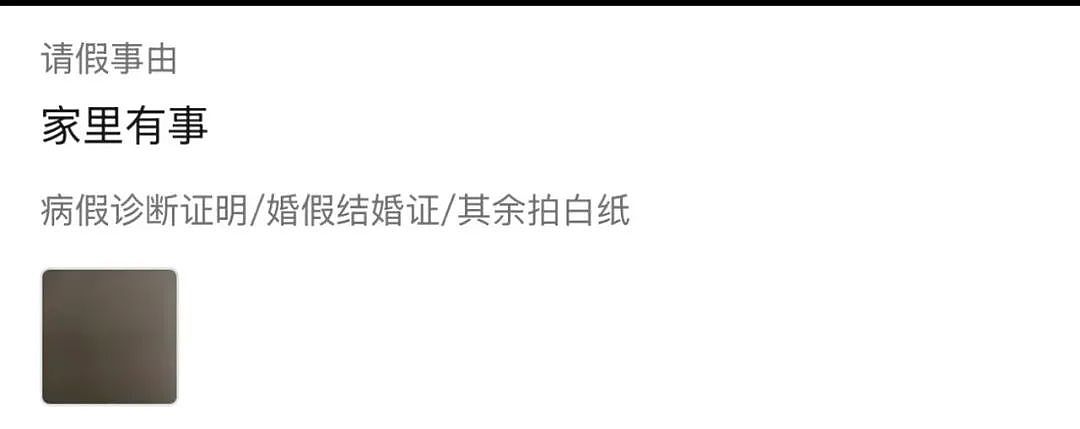 【爆笑】“电脑没关，上司和我的猫聊了一晚上......” 哈哈哈哈哈哈哈好精彩的对话（组图） - 82