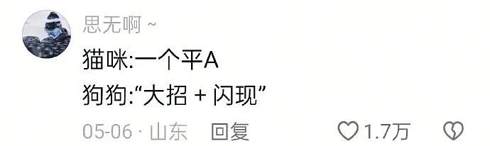 【爆笑】“蹲坑时厕所突然被搬走了!?”哈哈哈哈哈哈哈好绝望的死法....(组图) - 38