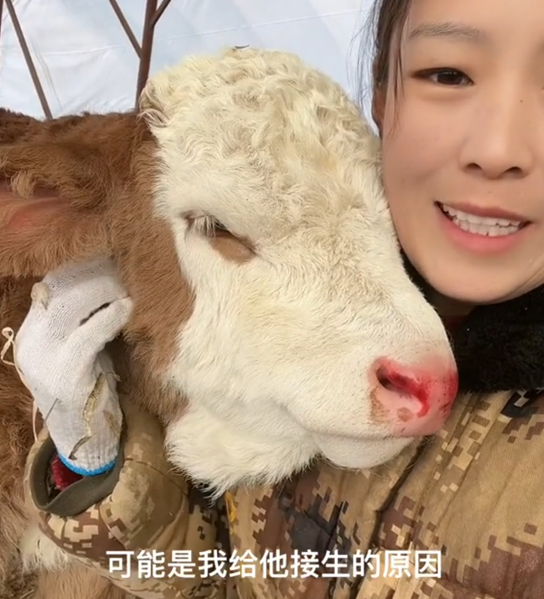 “不要小看牛马之间的羁绊啊”,都市人把村里的牛捧成新晋萌宠了(组图) - 31