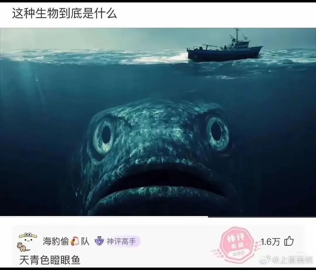 【爆笑】“电脑没关，上司和我的猫聊了一晚上......” 哈哈哈哈哈哈哈好精彩的对话（组图） - 23