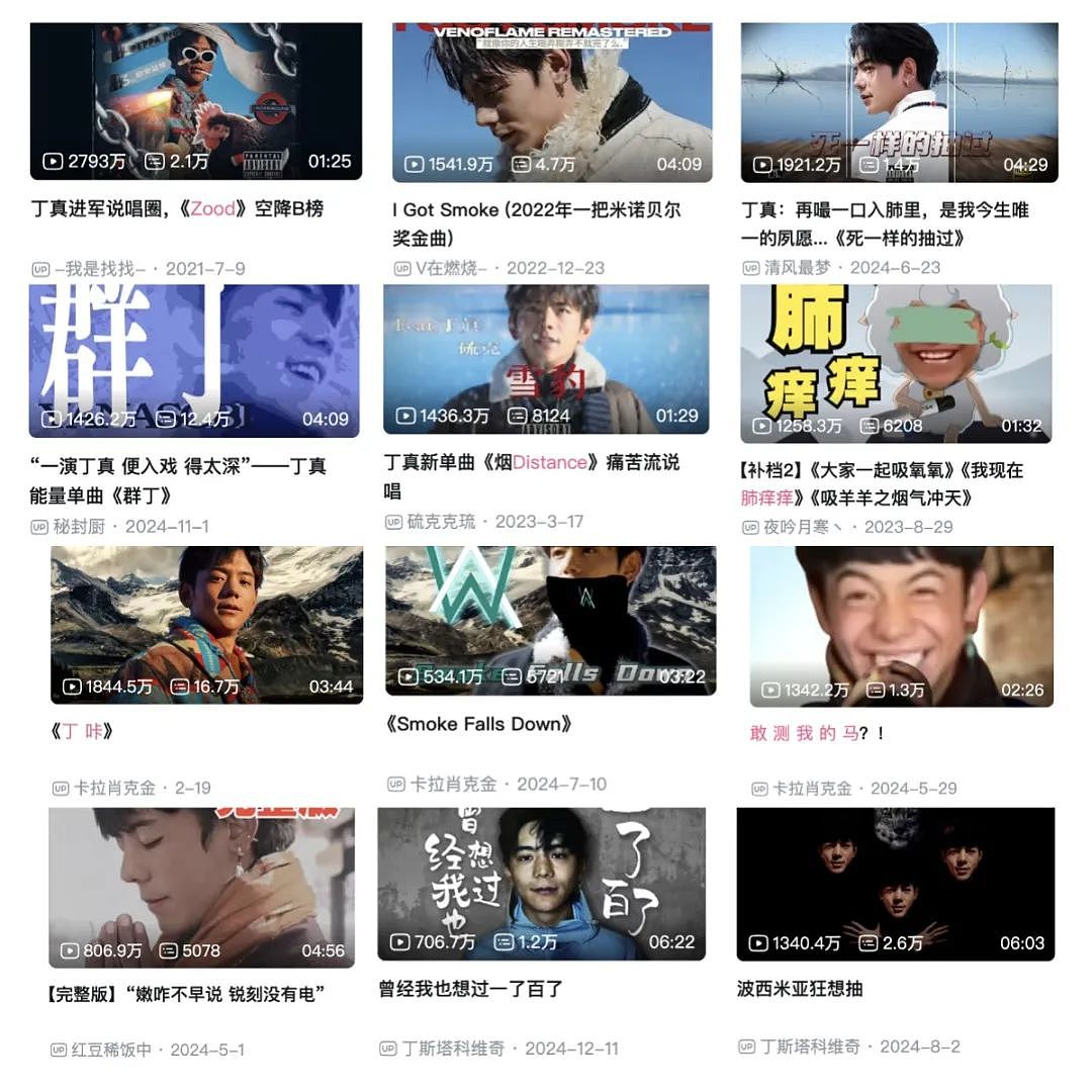全网群嘲的丁真,被资本做局了?(组图) - 16
