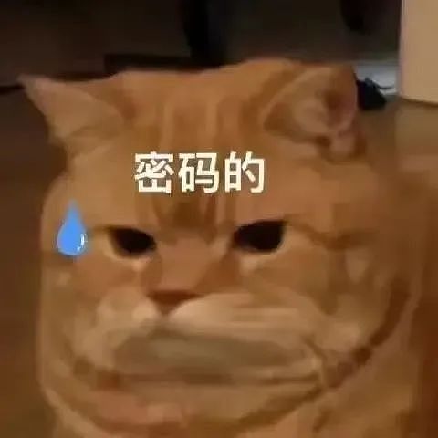 【爆笑】“电脑没关，上司和我的猫聊了一晚上......” 哈哈哈哈哈哈哈好精彩的对话（组图） - 74