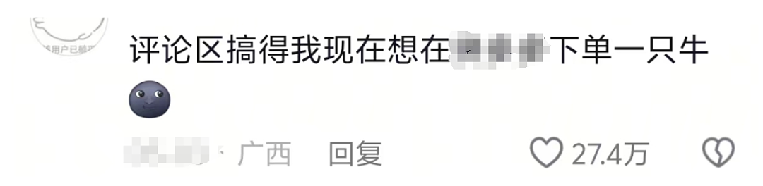 “不要小看牛马之间的羁绊啊”,都市人把村里的牛捧成新晋萌宠了(组图) - 7