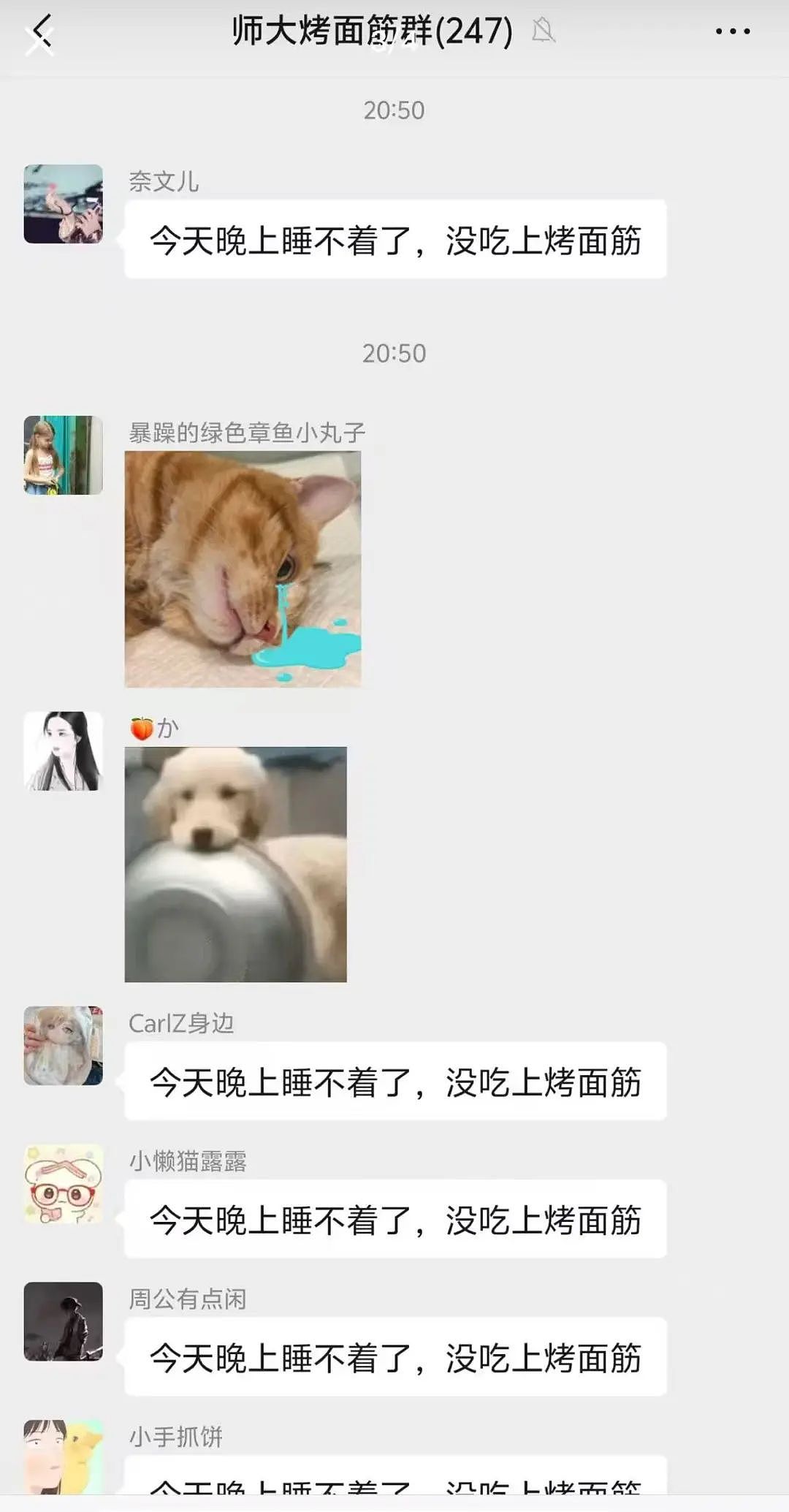 【爆笑】“电脑没关，上司和我的猫聊了一晚上......” 哈哈哈哈哈哈哈好精彩的对话（组图） - 88