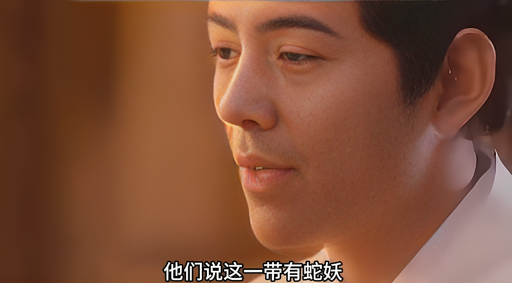 全网群嘲的丁真,被资本做局了?(组图) - 14