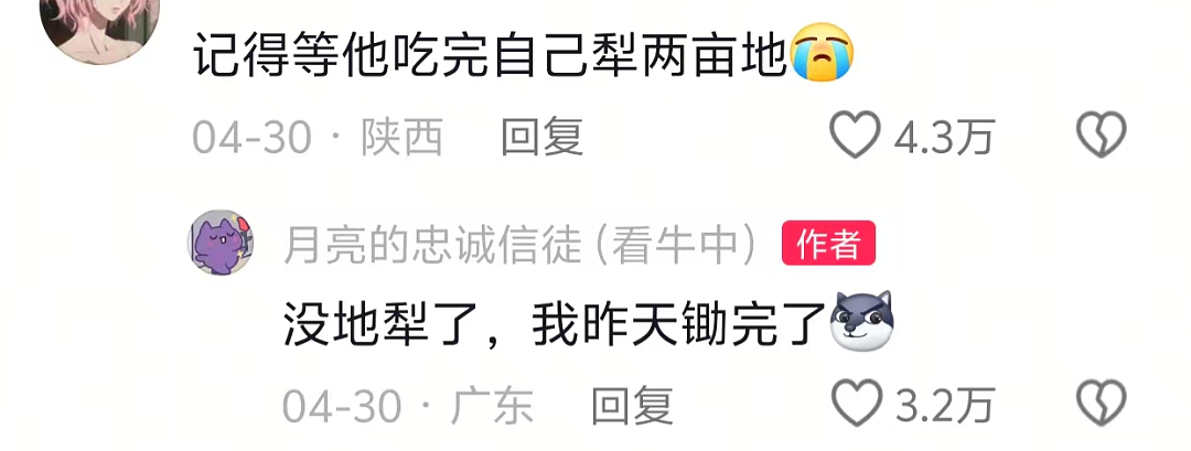 “不要小看牛马之间的羁绊啊”,都市人把村里的牛捧成新晋萌宠了(组图) - 9