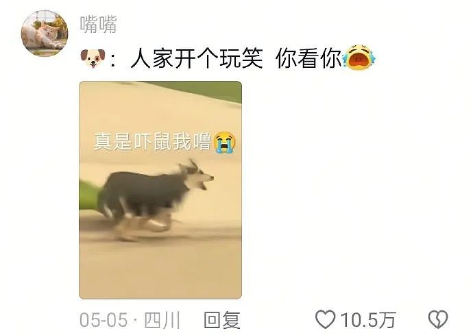 【爆笑】“蹲坑时厕所突然被搬走了!?”哈哈哈哈哈哈哈好绝望的死法....(组图) - 35