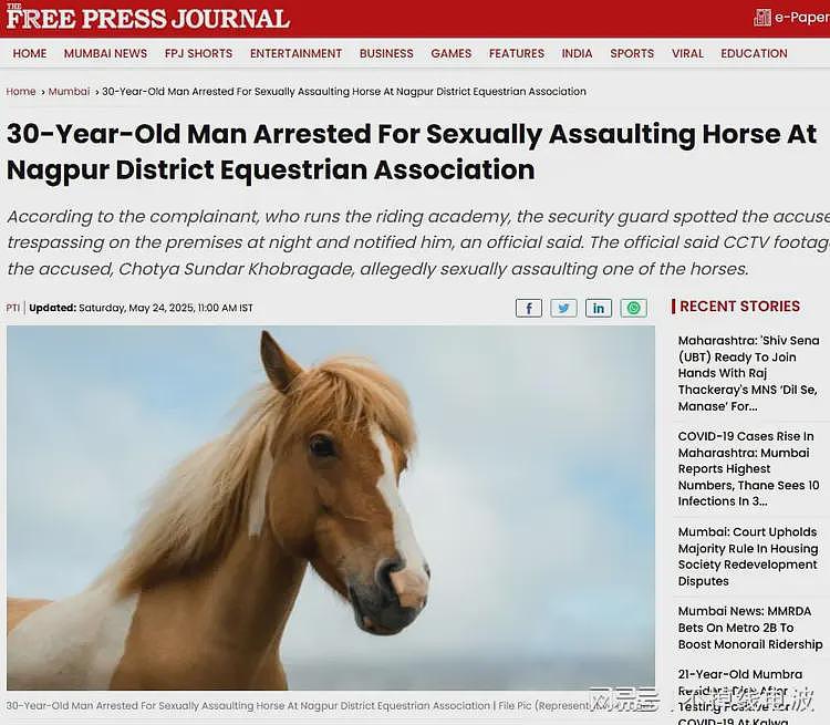 印度一男子因性侵马匹被捕，夜间潜入骑术学院作案，被保安发现（组图） - 4