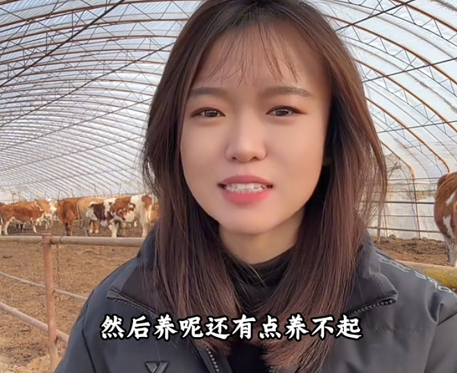 “不要小看牛马之间的羁绊啊”,都市人把村里的牛捧成新晋萌宠了(组图) - 25
