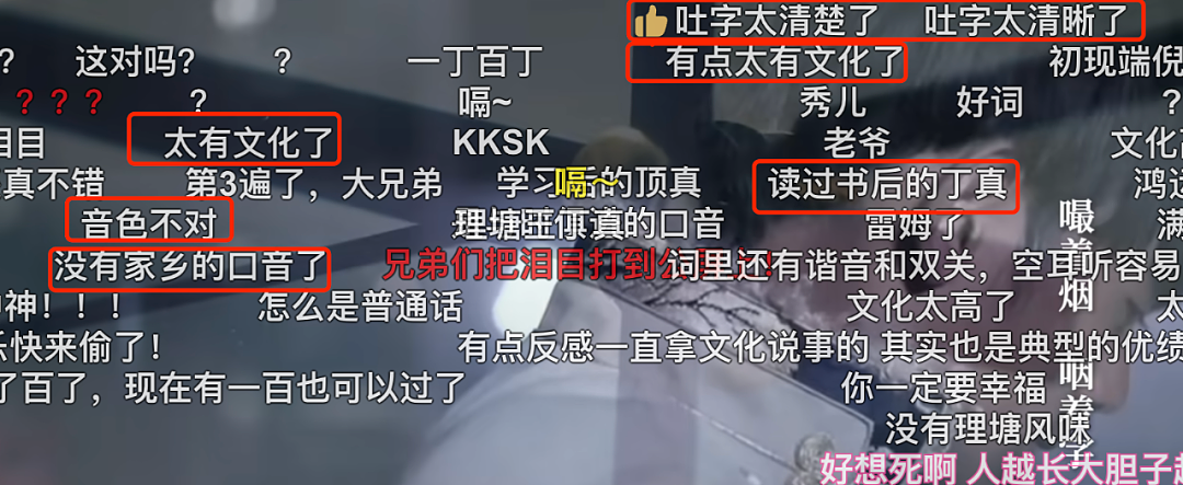 全网群嘲的丁真,被资本做局了?(组图) - 17