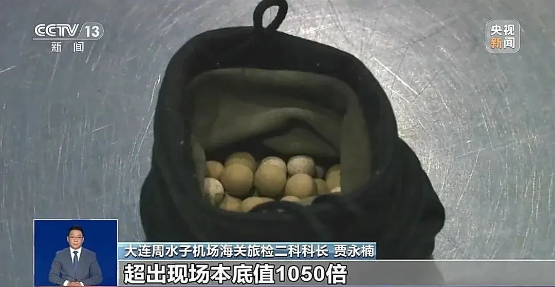 千万不要买!戴一天辐射量相当于拍117次胸片,赶紧提醒身边人(组图) - 1