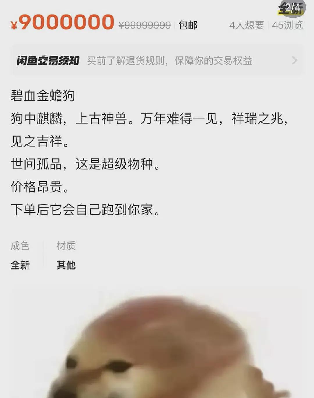 在中文版“暗网”上，能买到多禁忌的服务（组图） - 3