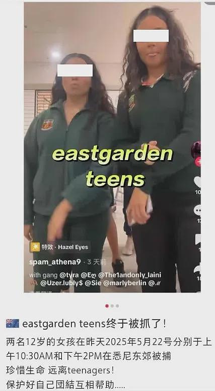 华人团结起来了！中国夫妇悉尼遭8名青少年暴打！万名华人愤怒请愿，现场视频曝光…（组图） - 6