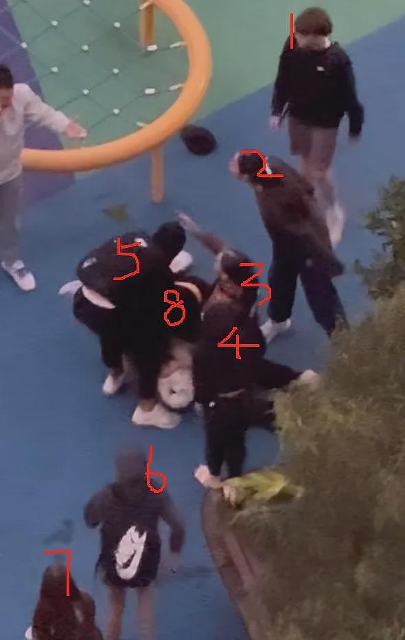 华人团结起来了！中国夫妇悉尼遭8名青少年暴打！万名华人愤怒请愿，现场视频曝光…（组图） - 2