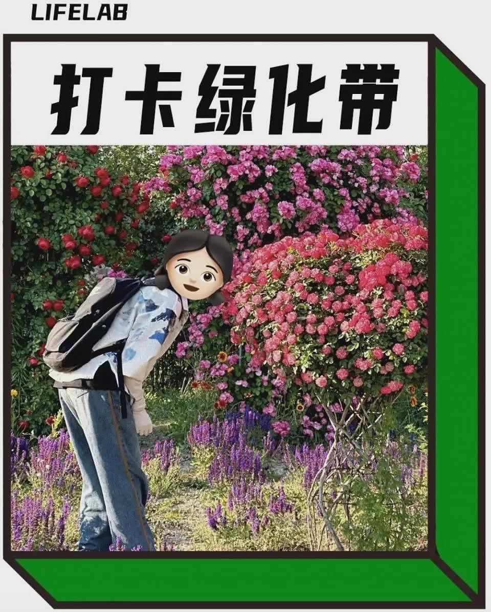 北京绿化带,成了年轻人的“5A级景区”(组图) - 1