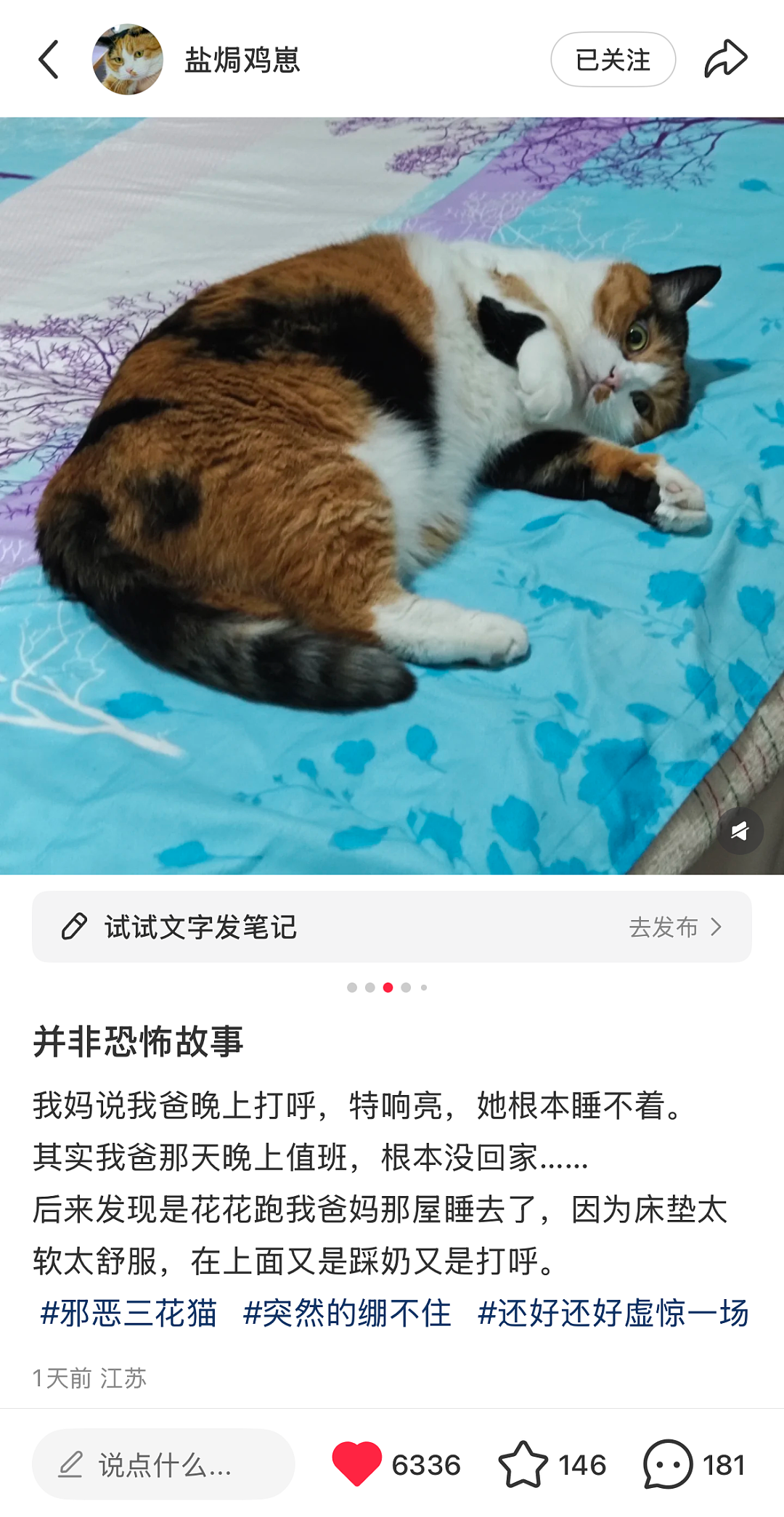 【宠物】老妈吐槽老爸打呼吵她睡不着,其实,老爸晚上根本没回家...网友刚想尖叫,打开一看秒懂了哈哈哈(组图) - 4