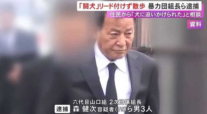 日本黑帮组长被捕,因为遛狗不牵绳?网友群嘲:小学生智商(组图) - 2