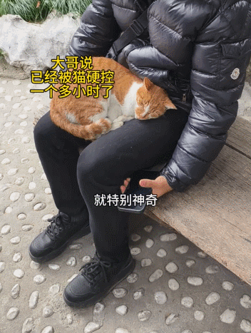 【宠物】老妈吐槽老爸打呼吵她睡不着,其实,老爸晚上根本没回家...网友刚想尖叫,打开一看秒懂了哈哈哈(组图) - 11