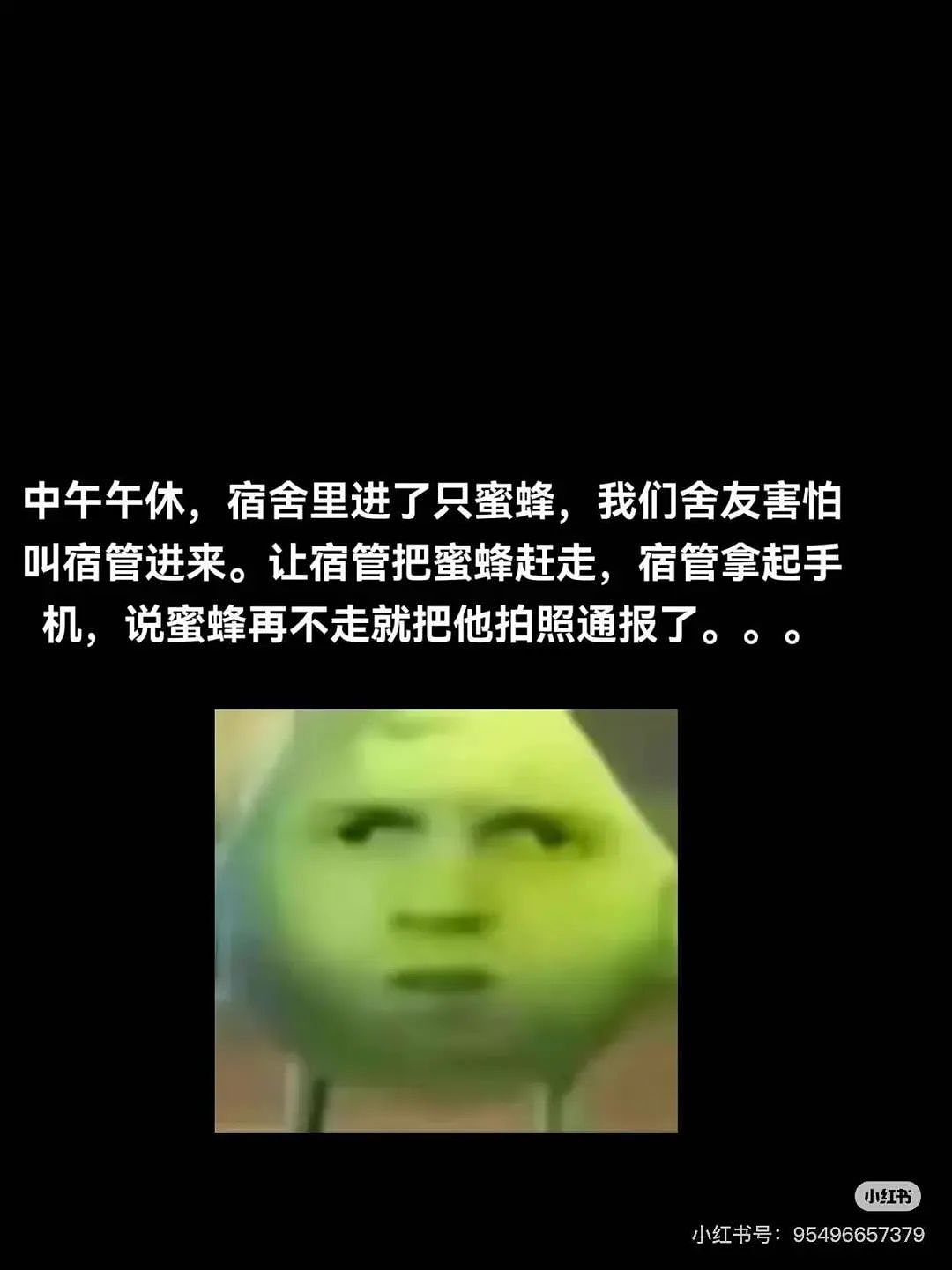 【爆笑】“面试时HR吹的天花乱坠一入职我傻眼了？”啊啊啊牛马槽子具像化了（组图） - 52
