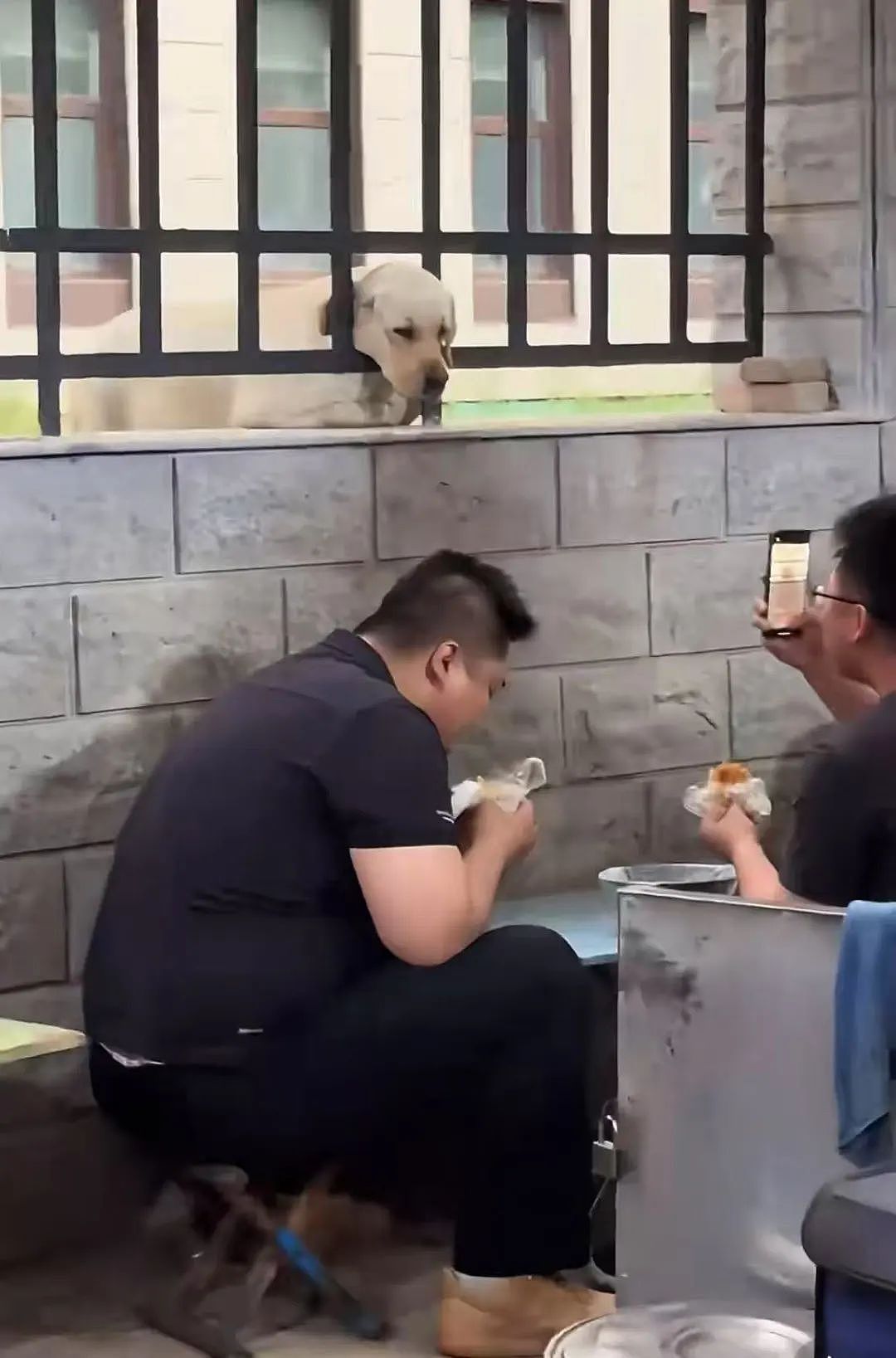 【爆笑】“撞衫经历到底能尴尬到什么地步...？”大爷大妈：穿的像我你无需自卑（组图） - 28