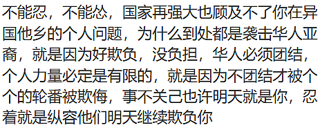 最新!悉尼华人当街遭围殴,7名青少年全部获释!华人抱团巡逻,“不是以暴制暴”(视频/组图) - 4