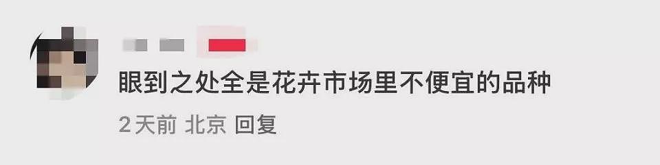 北京绿化带,成了年轻人的“5A级景区”(组图) - 6