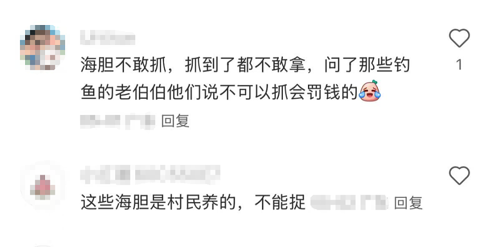 深圳一海滩惊现大量海鲜！有网友称怒捡一百多斤（视频/组图） - 9