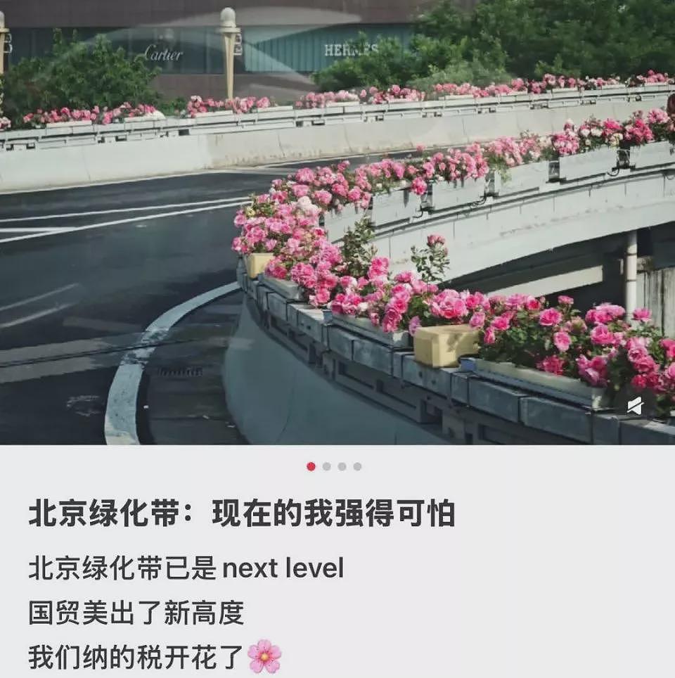 北京绿化带,成了年轻人的“5A级景区”(组图) - 2