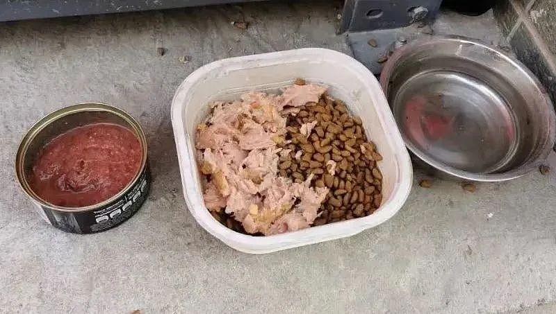 【宠物】老妈吐槽老爸打呼吵她睡不着,其实,老爸晚上根本没回家...网友刚想尖叫,打开一看秒懂了哈哈哈(组图) - 9