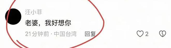 同样是爱人离世,将汪小菲和辛柏青进行对比,才明白谁在虚情假意(组图) - 17