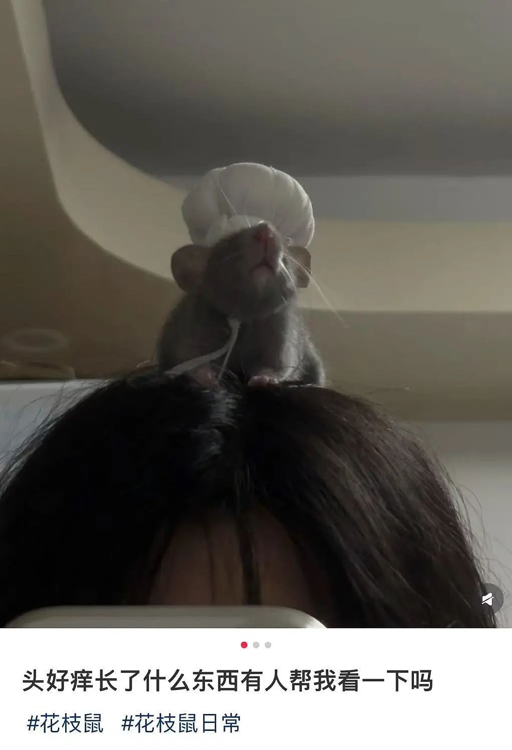 【爆笑】“面试时HR吹的天花乱坠一入职我傻眼了？”啊啊啊牛马槽子具像化了（组图） - 39