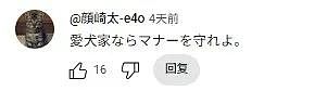 日本黑帮组长被捕,因为遛狗不牵绳?网友群嘲:小学生智商(组图) - 8