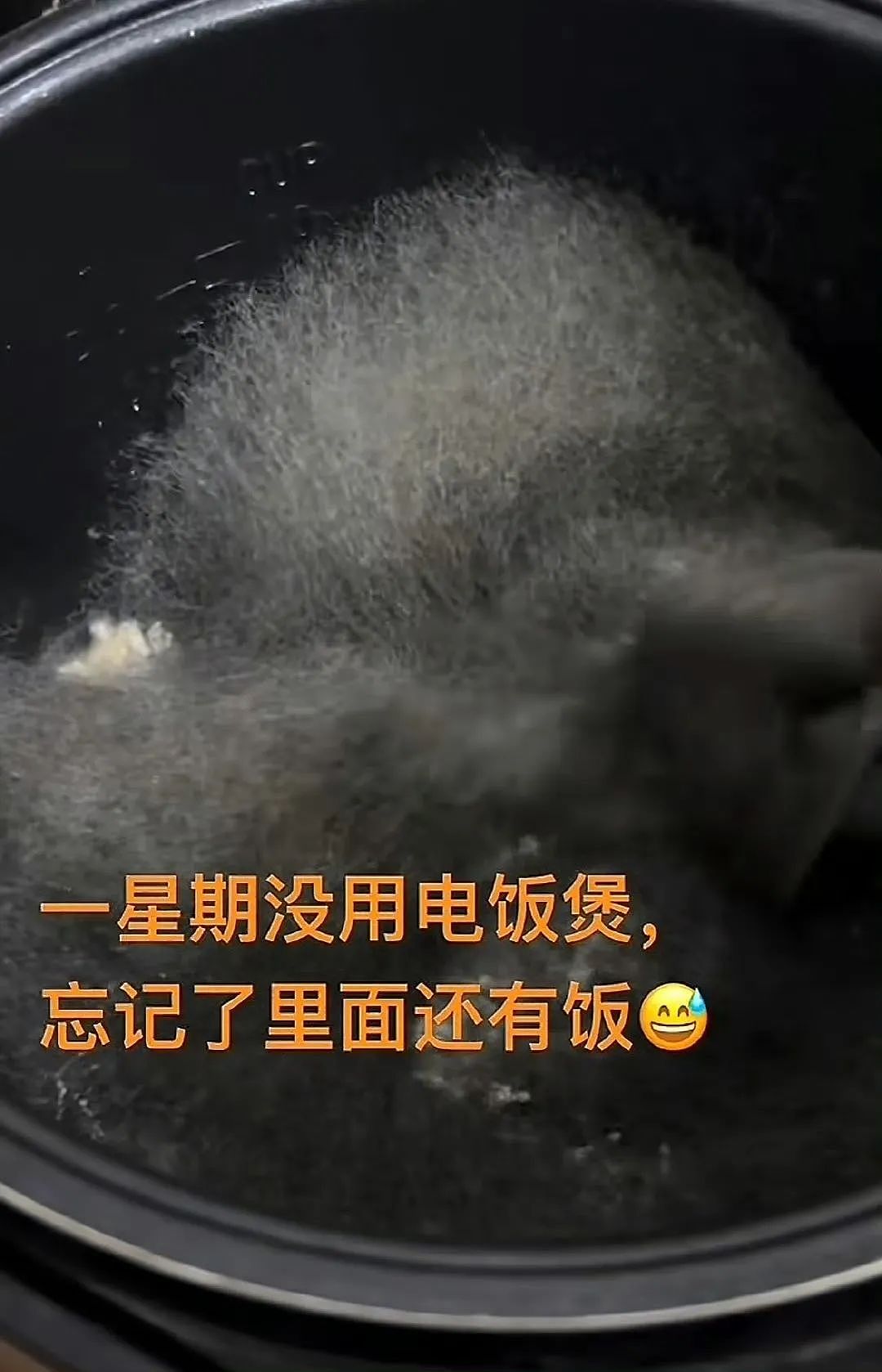 【爆笑】“面试时HR吹的天花乱坠一入职我傻眼了？”啊啊啊牛马槽子具像化了（组图） - 107
