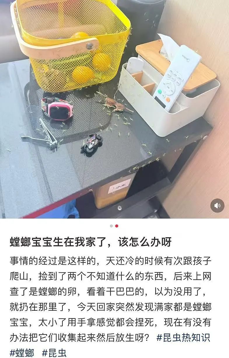【爆笑】“撞衫经历到底能尴尬到什么地步...？”大爷大妈：穿的像我你无需自卑（组图） - 77