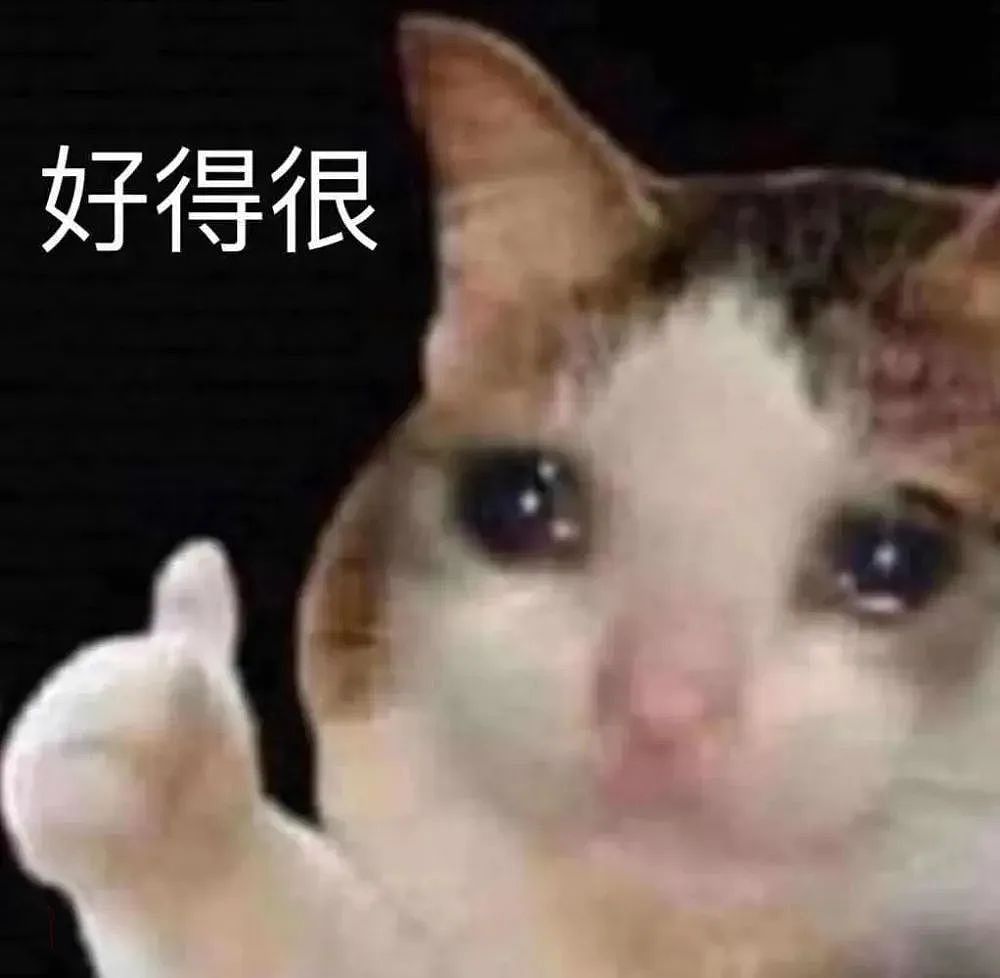 【宠物】老妈吐槽老爸打呼吵她睡不着,其实,老爸晚上根本没回家...网友刚想尖叫,打开一看秒懂了哈哈哈(组图) - 5