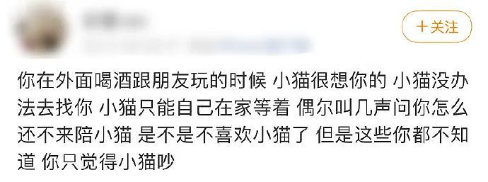 【宠物】老妈吐槽老爸打呼吵她睡不着,其实,老爸晚上根本没回家...网友刚想尖叫,打开一看秒懂了哈哈哈(组图) - 27