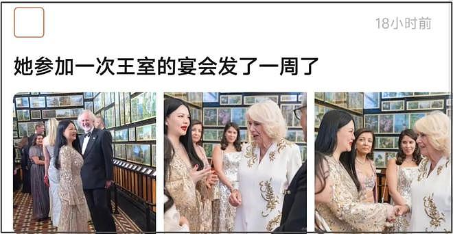 李湘还在晒英国王室合照，姿态太低惹群嘲，卡米拉用指尖和她握手（组图） - 3