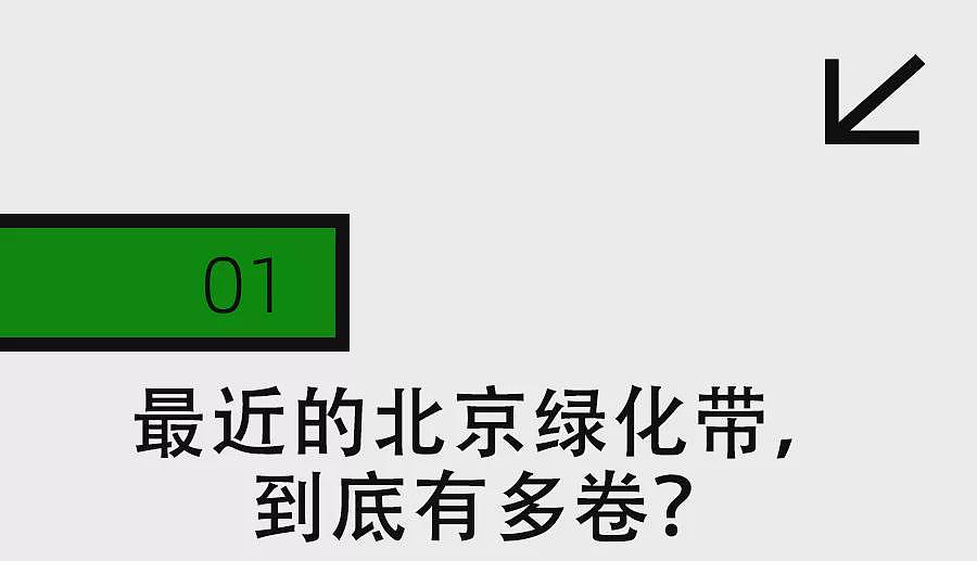 北京绿化带,成了年轻人的“5A级景区”(组图) - 5