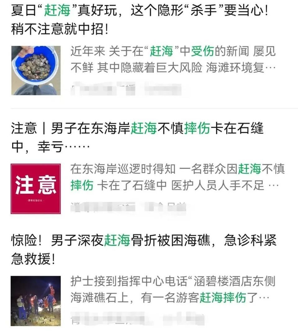 深圳一海滩惊现大量海鲜！有网友称怒捡一百多斤（视频/组图） - 11