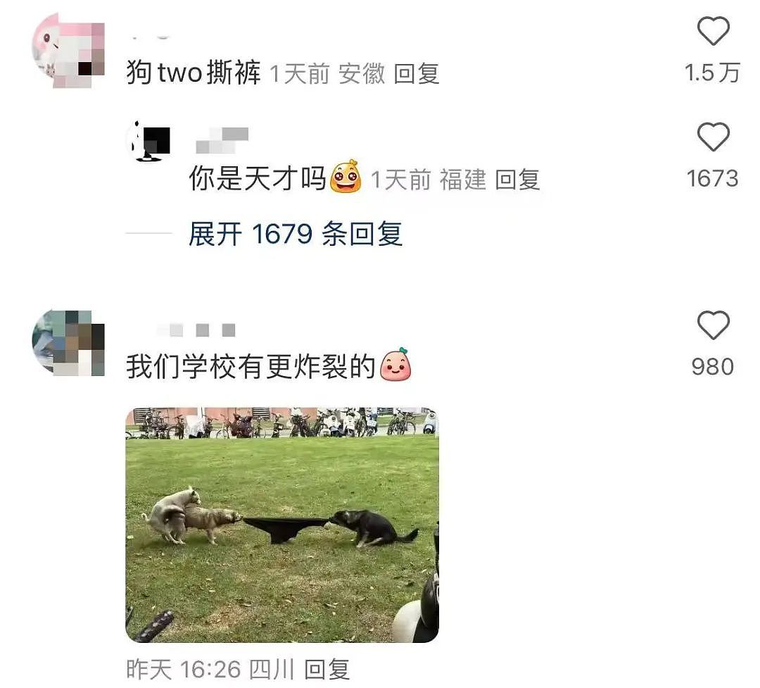 【爆笑】“撞衫经历到底能尴尬到什么地步...？”大爷大妈：穿的像我你无需自卑（组图） - 85