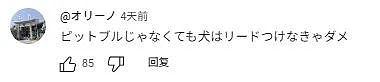 日本黑帮组长被捕,因为遛狗不牵绳?网友群嘲:小学生智商(组图) - 7