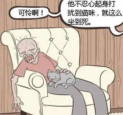 【宠物】老妈吐槽老爸打呼吵她睡不着,其实,老爸晚上根本没回家...网友刚想尖叫,打开一看秒懂了哈哈哈(组图) - 14