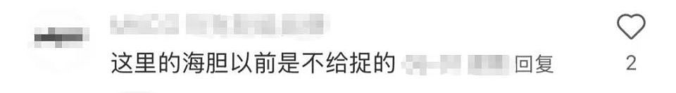 深圳一海滩惊现大量海鲜！有网友称怒捡一百多斤（视频/组图） - 8