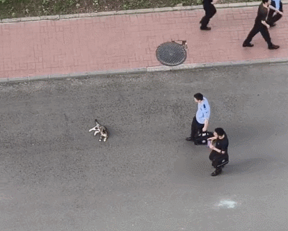 【宠物】老妈吐槽老爸打呼吵她睡不着,其实,老爸晚上根本没回家...网友刚想尖叫,打开一看秒懂了哈哈哈(组图) - 20