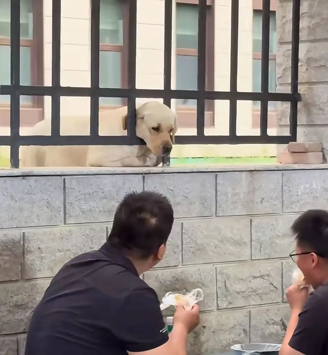 【爆笑】“撞衫经历到底能尴尬到什么地步...？”大爷大妈：穿的像我你无需自卑（组图） - 29